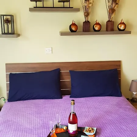 아파트 Ria Court 33 라르나카